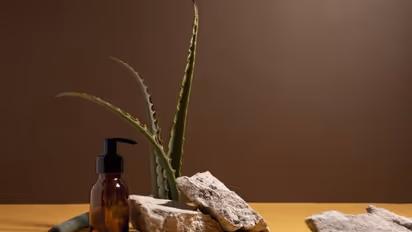 Interest grows in Ayurvedic beauty, but 1 in 5 Indian consumers find it old-fashioned: Survey