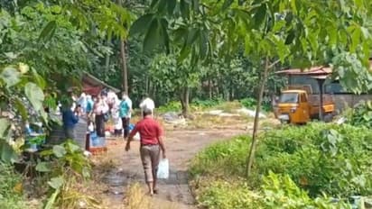 തൃശൂരില്‍ ആഫ്രിക്കന്‍ പന്നിപ്പനി സ്ഥിരീകരിച്ച ഫാമിലെ 150 പന്നികളെ കൊന്നൊടുക്കി സംസ്‍കരിച്ചു