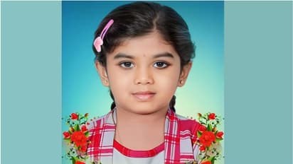 സ്കൂൾ വിട്ടു മടങ്ങിയ പ്രവാസി മലയാളി ബാലിക വാഹനാപകടത്തില് മരിച്ചു