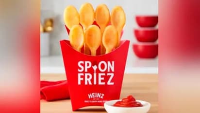 'ഇതെന്താ സ്പൂണ്‍ ഫ്രൈസോ?'; ഫ്രഞ്ച് ഫ്രൈസ് ഇനി തൊട്ട് ഇങ്ങനെയോ?