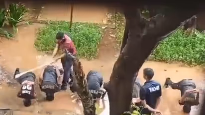 WATCH: NCC cadets, face down in puddle amid rain in Thane, thrashed by senior; disturbing video goes viral
