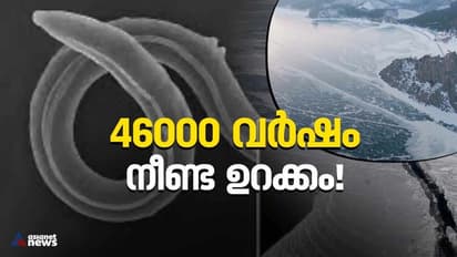 കേൾക്കുമ്പോൾ അത്ഭുതം തോന്നും, 46000 ഓളം വർഷം നീണ്ട ഉറക്കത്തിൽ നിന്നുണർന്ന് ഒരു വിര!