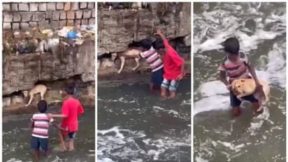 'വറ്റിയിട്ടില്ല, മനുഷ്യനിലെ നന്മ'; ഒറ്റ ദിവസം കൊണ്ട് വീഡിയോ കണ്ടത് 13 ലക്ഷം പേര് !