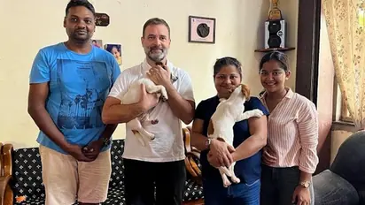 Delhi: Congress leader Rahul Gandhi leaves Goa with Jack Russell Terrier puppy; check details