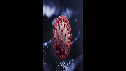 மகாராஷ்டிராவில் புதிய வகை கொரோனா; புனே, தானேவில் அதிகரிக்கும் தொற்று எண்ணிக்கை!