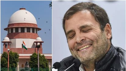 രാഹുലിന് അനുകൂലമായി സുപ്രീം കോടതി ചൂണ്ടിക്കാട്ടിയത് 3 കാര്യങ്ങൾ, വിമർശനം 2 കാര്യങ്ങളിൽ; കോടതിയിൽ നടന്നത്!