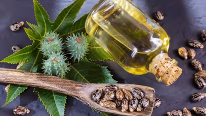 Hair Care: 5 incredible advantages of Castor Oil