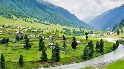 370 ರದ್ದು ಬಳಿಕ ಜಮ್ಮುವಿನಲ್ಲಿ ಭಯೋತ್ಪಾದನೆ ಚಟುವಟಿಕೆ ಹೆಚ್ಚಳ: ಸಾವಿನ ಸಂಖ್ಯೆ ಇಳಿಕೆ