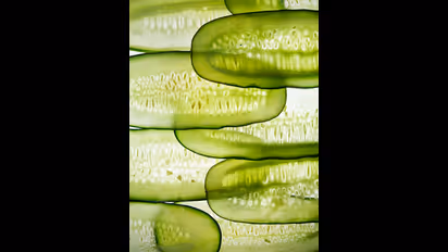 Hydration to Skin lightening: 7 skin benefits of Cucumber