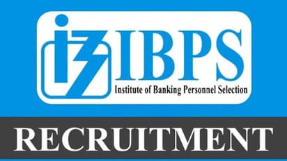 IBPS Clerk 2023 : ஐபிபிஎஸ் கிளார்க் ப்ரிலிம்ஸ் ஹால் டிக்கெட் வெளியீடு.. பதிவிறக்கம் செய்வது எப்படி?