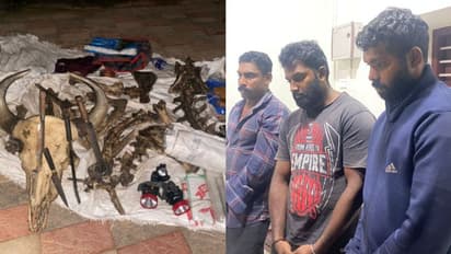 തോക്കുകള്‍, തിരകള്‍, ആയുധങ്ങള്‍, കാട്ടുപോത്തിന്‍റെ എല്ല്... നായാട്ട് സംഘത്തെ ഓടിച്ചിട്ട് പിടികൂടി വനപാലകര്‍