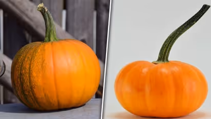 Vision support to skin health: 5 great benefits of Pumpkin