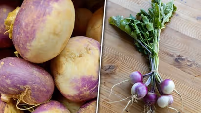 Enhancing bones to weight management: 5 health benefits of Turnip