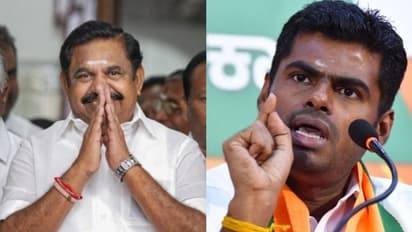 ಅಣ್ಣಾಮಲೈಯಿಂದ ಪಕ್ಷಕ್ಕೆ ಅವಮಾನ, ಚುನಾವಣೆ ಹೊಸ್ತಿಲಲ್ಲಿ ಬಿಜೆಪಿ ಮೈತ್ರಿ ಮುರಿದ ಎಐಎಡಿಎಂಕೆ!