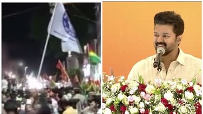 'അണ്ണാമലൈയുടെ പദയാത്രയുമായി വിജയ്ക്ക് ബന്ധമില്ല'; ബിജെപി പദയാത്രയിൽ പതാക; വിശദീകരിച്ച് വിജയ് മക്കൾ ഇയക്കം