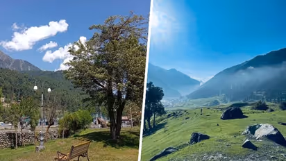 Dras to Chambal Valley: Know reasons why they are on danger list