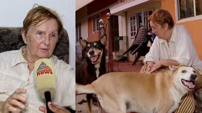 തെരുവുനായ സംരക്ഷണത്തിനായി പ്രവർത്തനം, വിദേശവനിതയെ പറ്റിച്ച് മലയാളി; തിരികെ പോകാനുള്ള പണം പോലുമില്ലാതെ വയോധിക