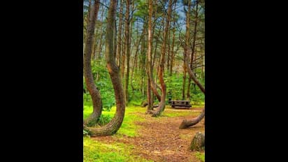 ದೇವರಾಯನದುರ್ಗದಲ್ಲಿ ಅರಣ್ಯ ಒತ್ತುವರಿ: ಹೈಕೋರ್ಟ್‌ ನೋಟಿಸ್‌