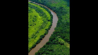 ಅಭಿವೃದ್ಧಿ ಹೆಸರಲ್ಲಿ ಪರಿಸರ ನಾಶ