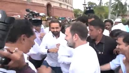 WATCH: INDIA celebrate, distribute sweets on Rahul Gandhi's return to Parliament; call it 'victory of truth'