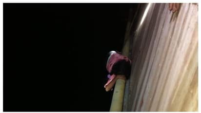 വിനോദയാത്രയ്ക്ക് കാമുകിയേയും കുഞ്ഞുങ്ങളേയും കൂട്ടി, പാലത്തിൽ നിന്ന് തള്ളിയിട്ടു; രക്ഷപ്പെട്ട് പെൺകുട്ടി