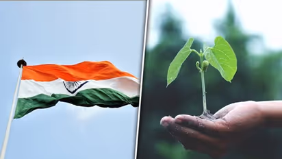 Independence Day 2023: 7 Environment-friendly celebration ideas