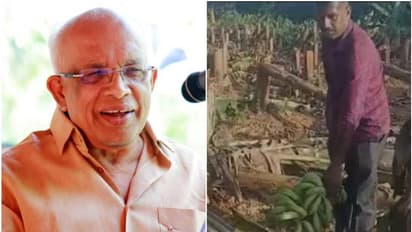 'വെട്ടി മാറ്റിയത് മനുഷ്യജീവന് ഭീഷണിയായതിനാൽ; കർഷകന് ഉചിതമായ സഹായം നല്‍കും'; കെഎസ്ഇബി വാഴ വെട്ടിൽ മന്ത്രി