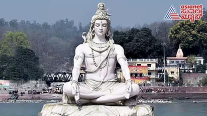 ಕಾಲಸರ್ಪ ದೋಷದಿಂದ ಭಯಾನಕ ಸಂಕಷ್ಟ; ಇಲ್ಲಿವೆ ಕೆಲವು ಪರಿಹಾರ ಕ್ರಮಗಳು..!