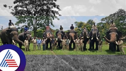 ಮೈಸೂರು ದಸರಾಕ್ಕೆ ಕೊಡಗಿನಿಂದ 8 ಆನೆಗಳ ಆಯ್ಕೆ ಬಹುತೇಕ ಖಚಿತ