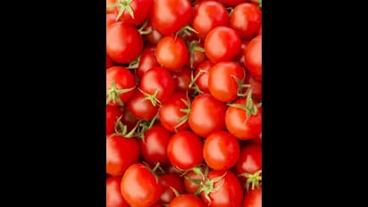 ‘தக்காளிகளுக்கும் லீவு வேண்டும்’: மெனுவில் தக்காளியை தூக்கிய பர்கர் கிங்!