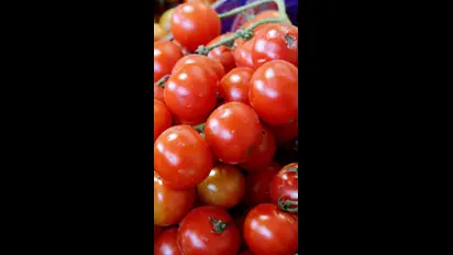 Tomato Price : மீண்டும் அதிகரித்த தக்காளி விலை.! இன்று கோயம்பேட்டில் ஒரு கிலோ தக்காளி விலை என்ன தெரியுமா.?