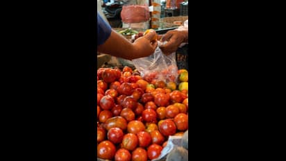 தக்காளி, வெங்காயம் விலை குறைய போகுது.! இனி இவ்வளவு தான் விலை - வெளியாக போகுது சூப்பர் அறிவிப்பு