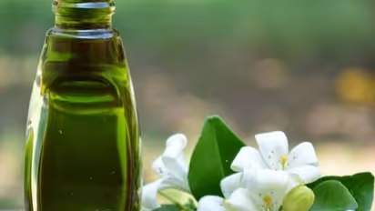 Hair Care: 5 incredible benefits of Bhringraj Oil