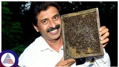 ವಿದ್ಯೆ ಕೈ ಹಿಡಿಯದಿದ್ದರೇನು ಬದುಕು ಸಾಗಬೇಕಲ್ಲ? ಜೀವನಕ್ಕೆ ಜೇನು ಕೃಷಿಯ ಖುಷಿ