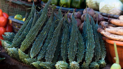 Magical effects of bitter gourds: Explore health benefits of veggie