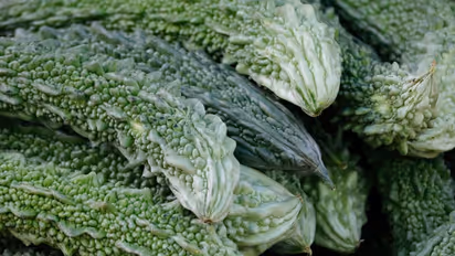 പാവയ്ക്ക കഴിക്കുന്നത് ശീലമാക്കൂ, ഈ രോഗങ്ങളെ അകറ്റി നിർത്തും