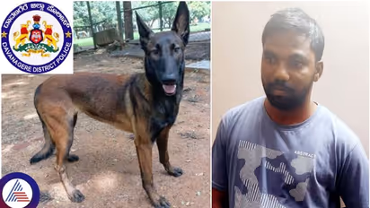 Police dog Tara tracks down murderer 8 km away in Karnataka's Davangere