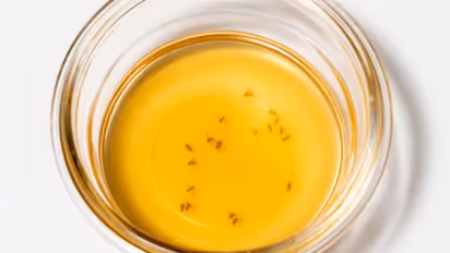 അടുക്കളയില്‍ പഴയീച്ച ശല്യമോ? ഇതൊഴിവാക്കാൻ വഴിയുണ്ടേ...