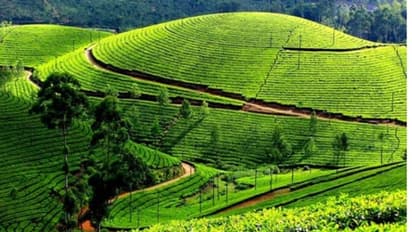 വനിതാ വിനോദ സഞ്ചാരികള്ക്ക് കുറഞ്ഞ ചെലവില് താമസ സൗകര്യം; മൂന്നാറില് ഷീ ലോഡ്ജ് ഒരുങ്ങുന്നു