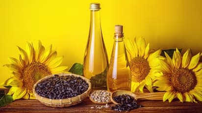 തലമുടി കൊഴിച്ചിലും താരനും തടയാന് സൂര്യകാന്തി എണ്ണ ഇങ്ങനെ ഉപയോഗിക്കാം...