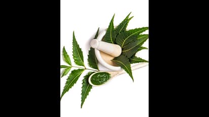 ಬೇವಿನ ನೀರು ಕುಡಿಯುವುದರಿಂದ ಮೊಡವೆ ನಿವಾರಣೆಯಾಗುತ್ತಾ?