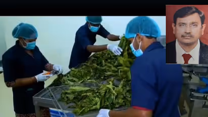 ಆಫ್ರಿಕಾ ಜನರ ಆರೋಗ್ಯದ ಗುಟ್ಟು ಭಾರತಕ್ಕೆ ಪರಿಚಯಿಸಿದ ಅನಿಲ್: Baobab Tree ವೈಶಿಷ್ಟ್ಯತೆ ಗೊತ್ತಾ?