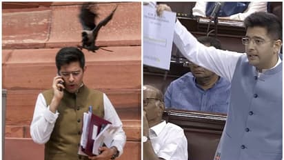 ಕಾಗೆ ಕುಕ್ಕೋದು ಅಂದ್ರೆ ಸುಮ್ನೇನಾ, ರಾಜ್ಯಸಭೆಯಿಂದ ರಾಘವ್‌ ಚಡ್ಡಾ ಅನಿರ್ದಿಷ್ಟಾವಧಿ ಅಮಾನತು!