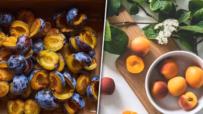 Apricot to Prunes: 5 fruits that are rich in IRON