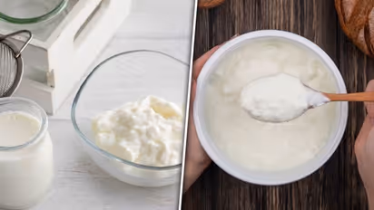 Curd vs. yogurt: 6 key differences between these dairy delicacies