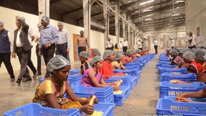 PMKSY : பிரதான் மந்திரி கிசான் சம்பதா யோஜனா.. வேலைவாய்ப்பு அதிகரிப்பு - மத்திய அரசு தகவல்