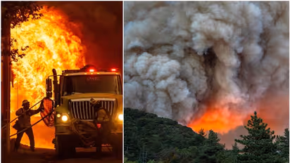 കാട്ടുതീയിൽ നടുങ്ങി അമേരിക്ക, കത്തിച്ചാമ്പലായി ലെഹാന; മരണ സംഖ്യ 55 ആയി, ആയിരത്തിലേറെ പേരെ കാണാനില്ല