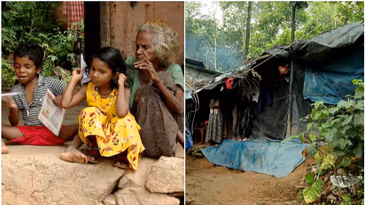 Kerala: Story of a Kozhikode tribal colony that lacks basic amenities