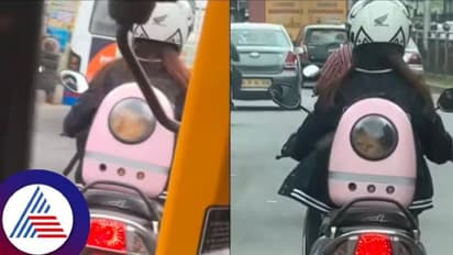 ಟ್ರಾಫಿಕ್ನಲ್ಲಿ, ಗಾಡಿಯಲ್ಲಿ ಹುಡುಗಿ ಬ್ಯಾಗಿನೊಳಗೆ ಮುದ್ದು ಮುದ್ದಾದ ಬೆಕ್ಕು, ವಿಡಿಯೋ ವೈರಲ್