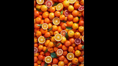 நோயெதிர்ப்பு சக்தியை அதிகரிக்க உதவும் உணவுகள்.. டெங்குவின் ஆபத்தை தடுக்கலாம்.. 